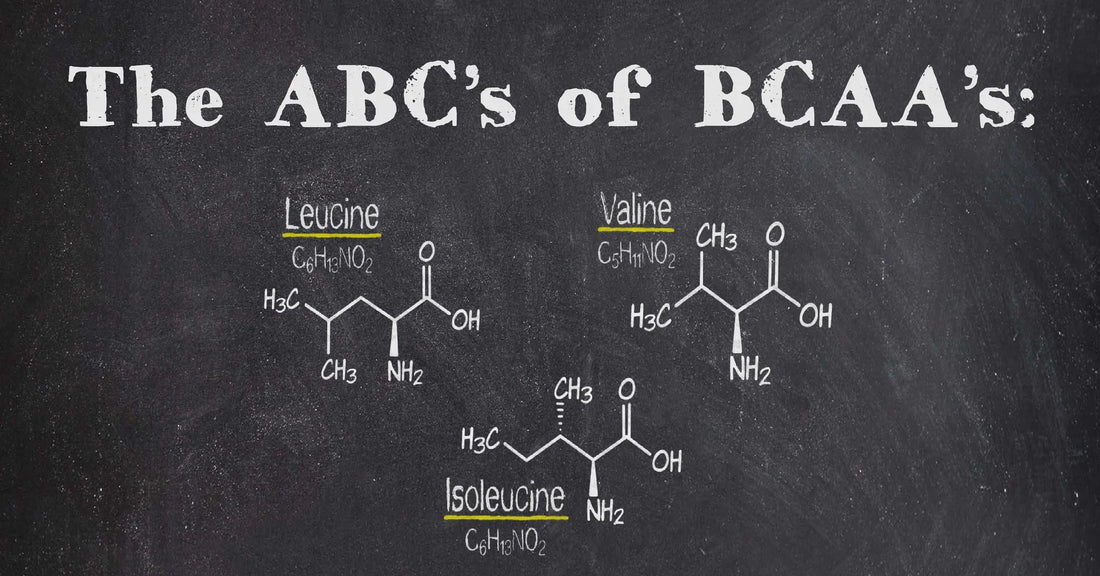 The Significance of BCAA (Branched-Chain Amino Acid) Supplements